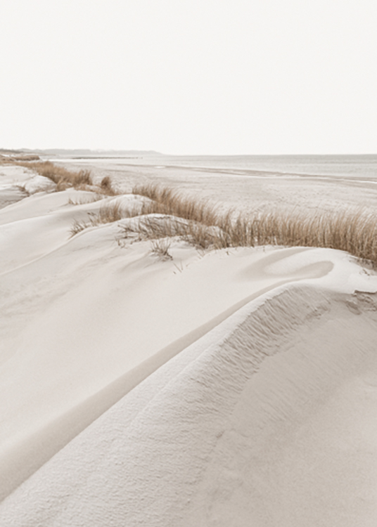  – Photographie d’herbe au-dessus de dunes de sable avec une plage et un océan derrière