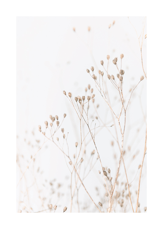  – Ensemble de petites fleurs en beige sur un fond gris clair