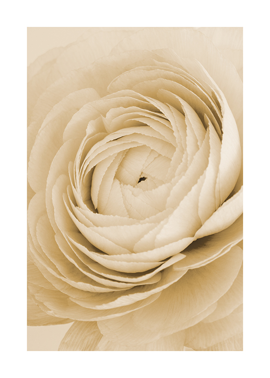  – Photographie avec gros plan d’une rose en jaune