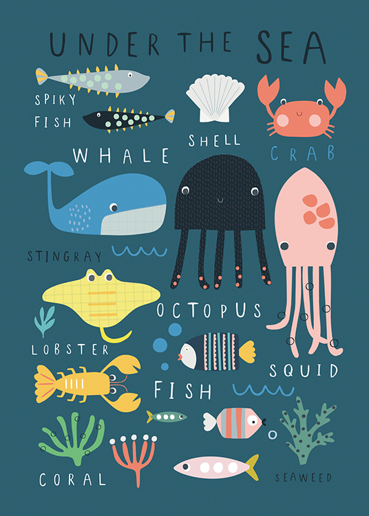  – Illustration graphique d’animaux et de plantes marins avec leurs noms, sur un fond de couleur bleu sarcelle