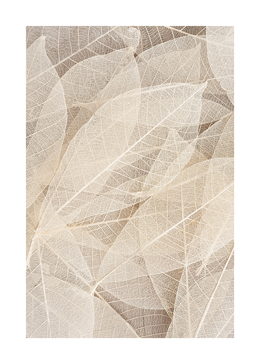  – Photographie avec gros plan sur des feuilles transparentes en beige clair