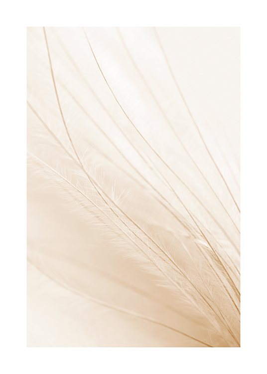  – Photographie avec gros plan d’une plume en beige clair