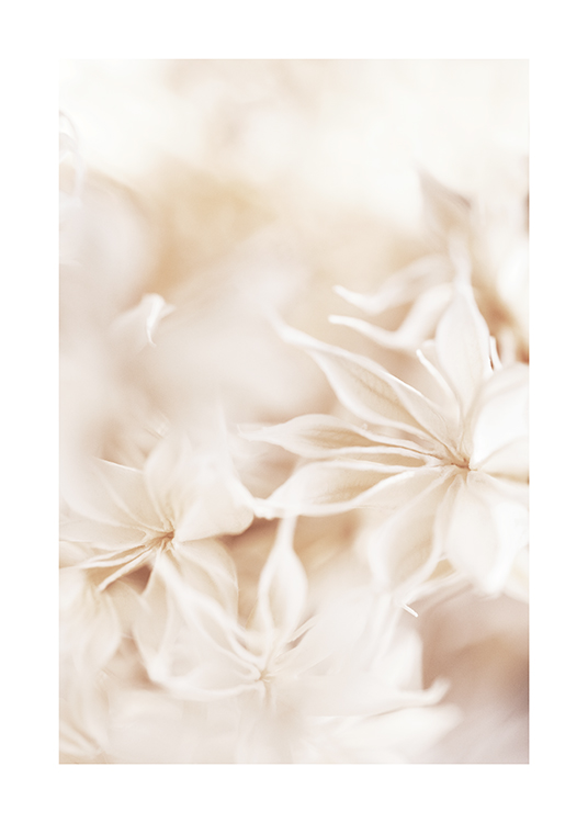 – Photographie avec un gros plan de fleurs claires