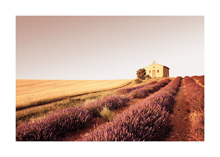  – Photographie d’une chapelle au sommet d’une colline avec un champ de bruyère devant
