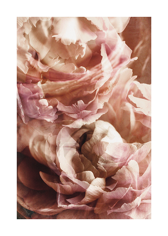  – Photographie en gros plan de fleurs roses avec un filtre flou