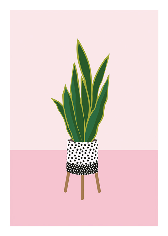  – Illustration d’une plante sur un fond rose, dans un pot à pois avec des pieds