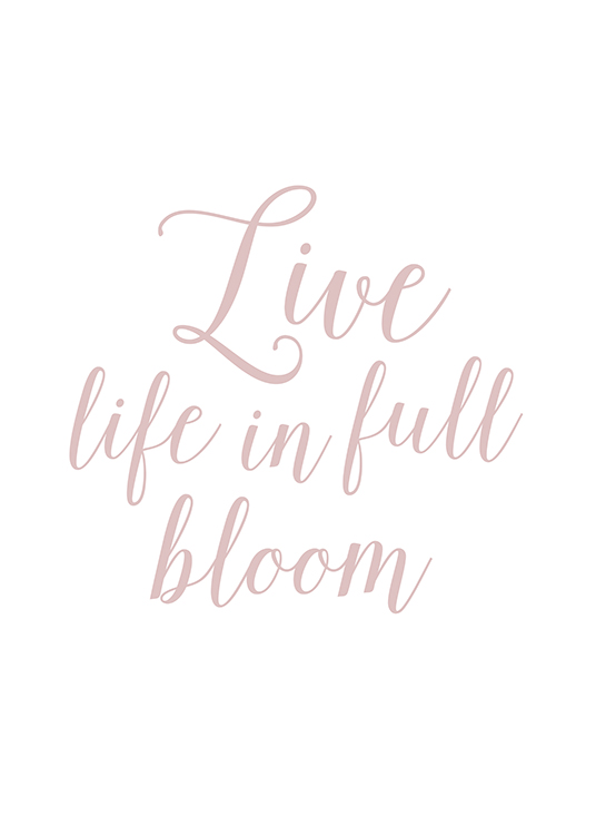 – Affiche de texte avec le texte manuscrit « Live life in full bloom » sur un fond blanc