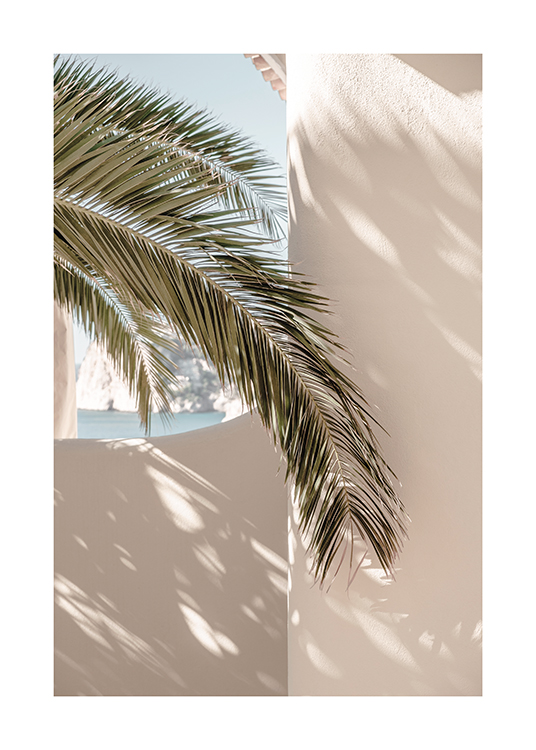  – Photographie d’une feuille de palmier verte appuyée contre un mur de maison en beige