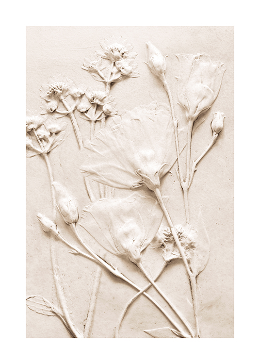  – Photographie de fleurs beiges posées sur un fond en béton beige