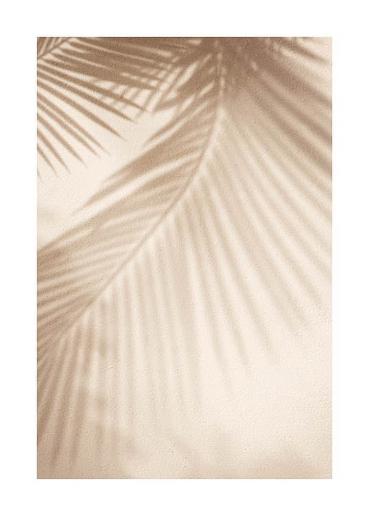  – Photographie d’ombres de feuilles de palmier contre un mur en beige clair avec une structure rugueuse