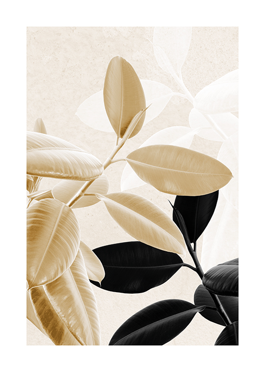  – Photographie de caoutchoucs noirs et dorés avec des silhouettes de feuilles claires à l’arrière-plan