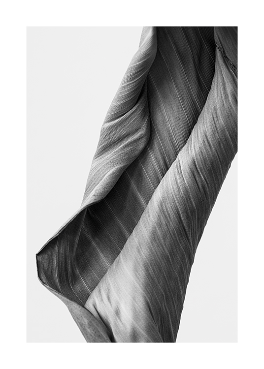  – Photographie en noir et blanc d’une feuille repliée avec des rayures