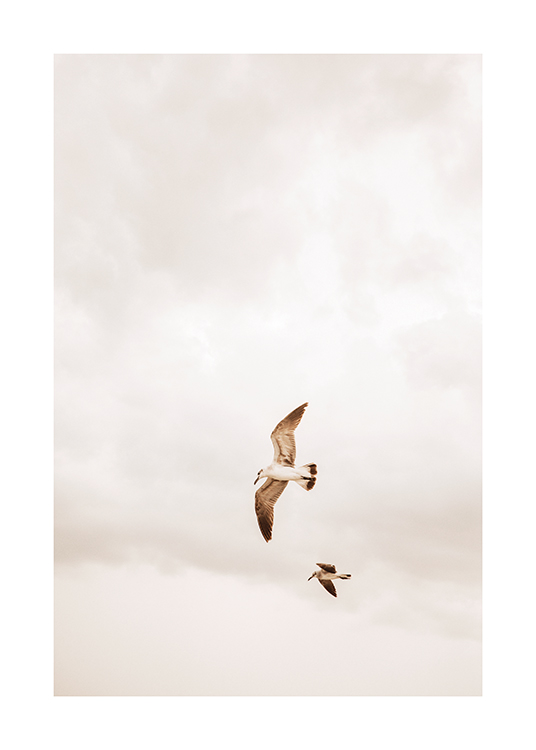  – Image de deux oiseaux volant dans un ciel nuageux