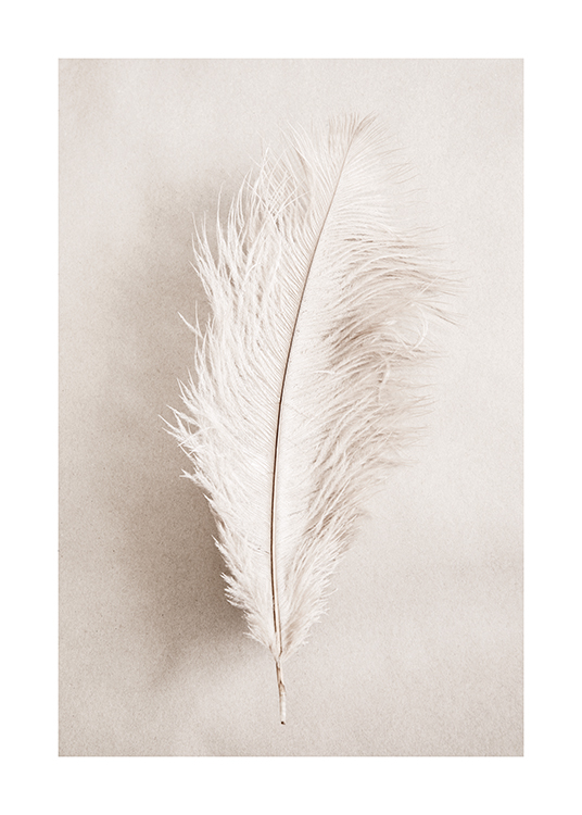  – Photographie d’une plume blanche