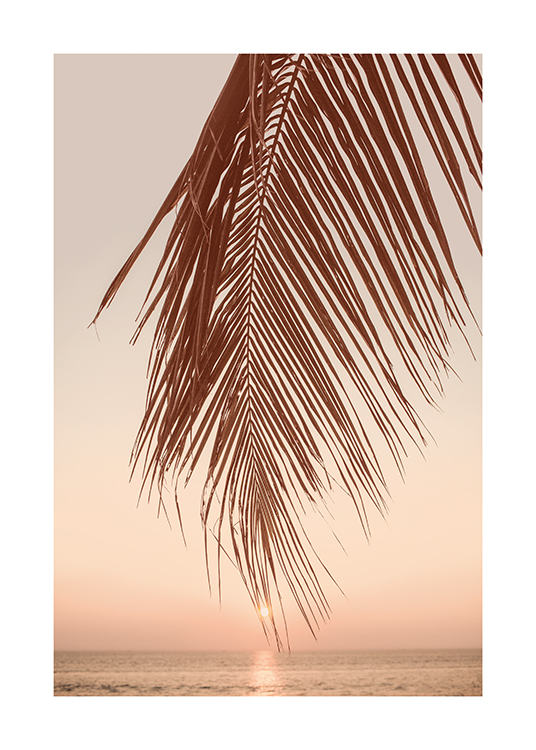  – Image d’une feuille de palmier sur une plage au coucher du soleil