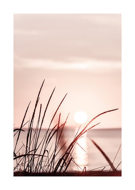  – Photographie d’herbe devant un ciel rose pastel au coucher du soleil