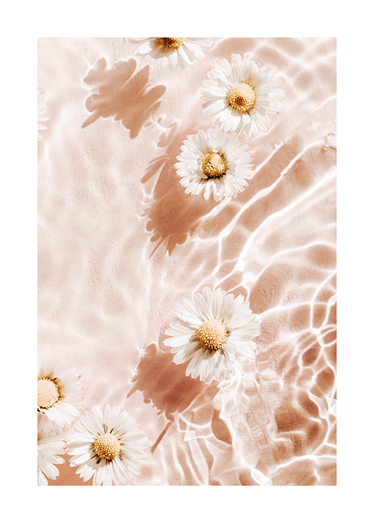  – Photographie de fleurs blanches flottant sur l’eau avec un fond rose clair