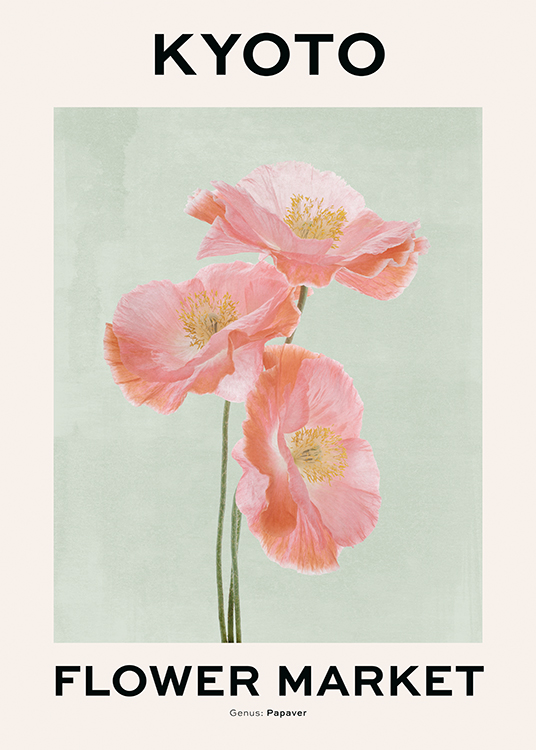  – Illustration de fleurs de pavot en orange et rose sur un fond vert et beige