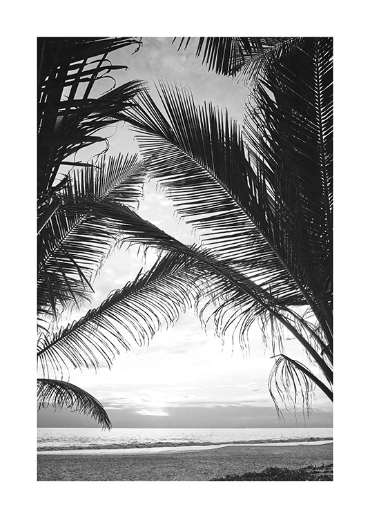  – Photographie en noir et blanc de feuilles de palmier avec l’océan entre elles