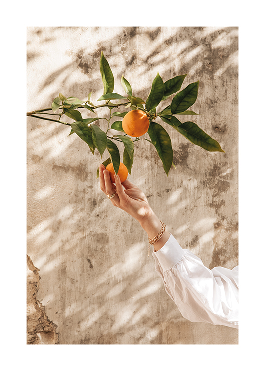  –  Image d'une femme attrapant une orange sur un arbre