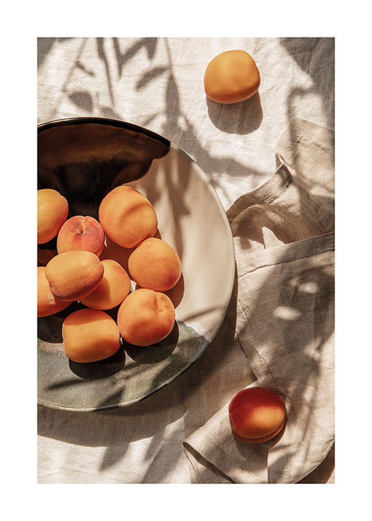  –  Une assiette d'abricots fraîchement récoltés sur une table