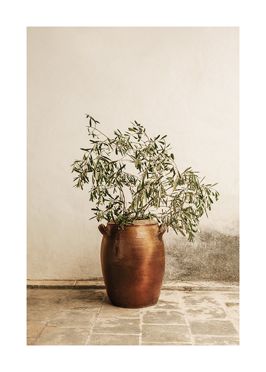  –  Une branche d'olivier simplement placée dans un vase