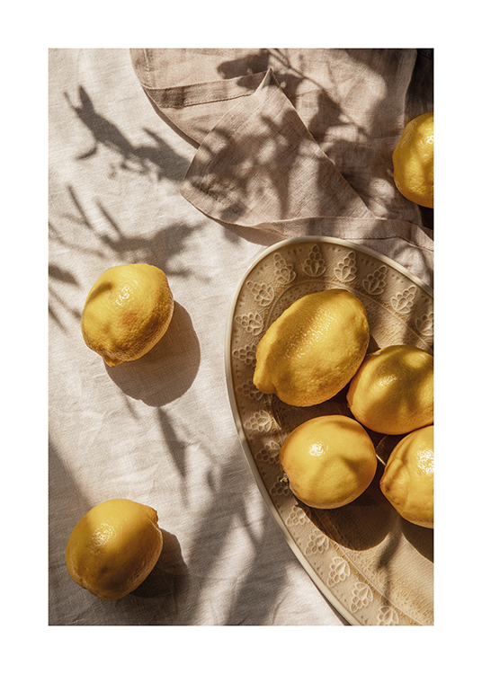  –  Une assiette de citrons fraîchement cueillis sur une table