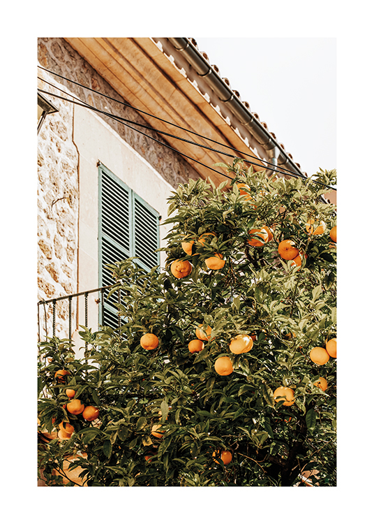  –  Une image d'un oranger à côté d'une maison espagnole pittoresque