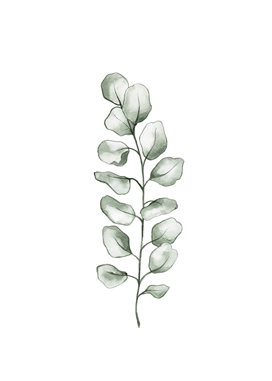 – Illustration d’une feuille d’eucalyptus à l’aquarelle verte sur un fond blanc