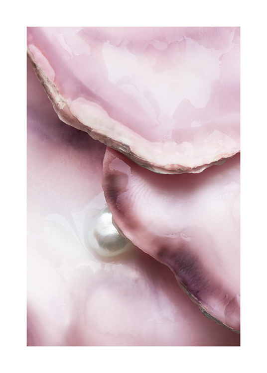  – Photographie en gros plan d’huîtres roses avec une perle blanche au milieu