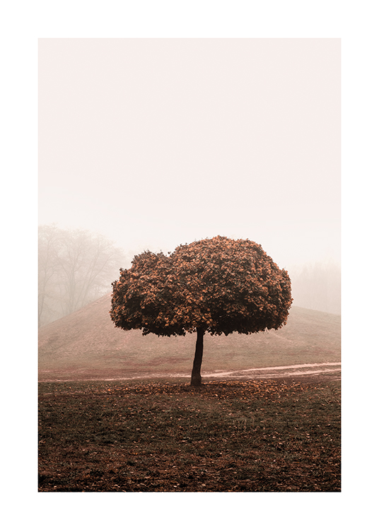  – Photographie d’un champ brumeux avec un arbre à grande cime au milieu