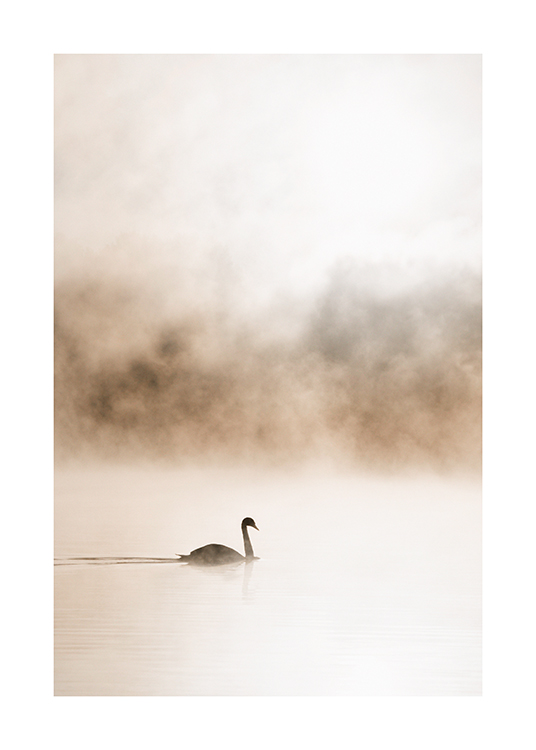  – Photographie d’un lac brumeux avec un cygne glissant sur l’eau, sur un fond beige