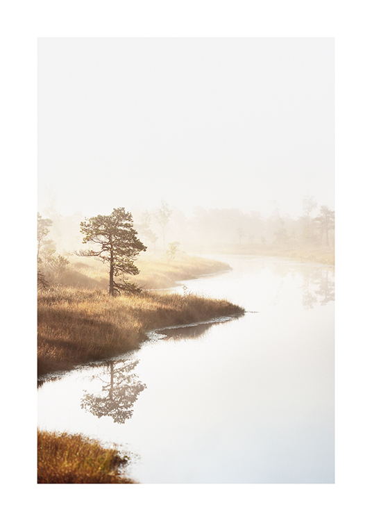  – Photographie d’arbres et d’herbe au bord de l’eau, avec du brouillard recouvrant le paysage