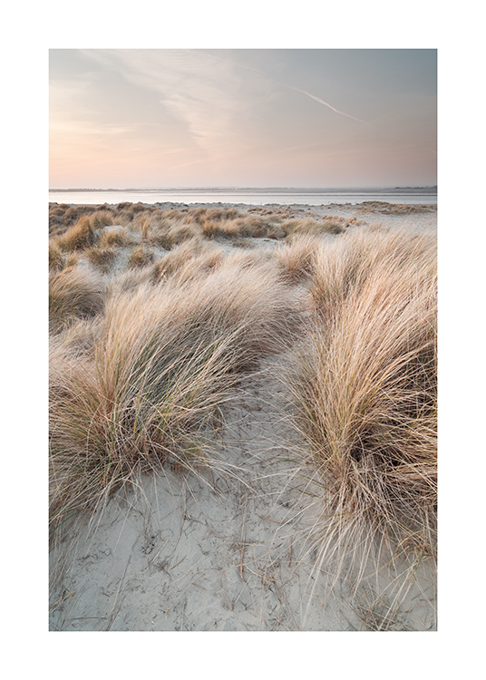  – Photographie de dunes de sable avec de l’herbe dessus, un ciel pastel et la mer à l’arrière-plan