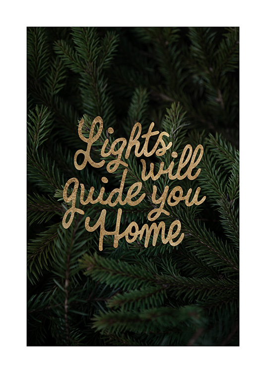  – Photographie de branches de sapin de Noël et texte doré « Lights will guide you Home »