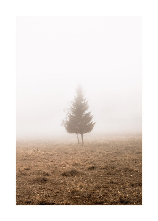 – Photographie d'un arbre solitaire dans un champ brumeux et marron