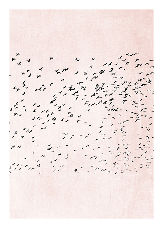 – Illustration graphique avec une nuée d'oiseaux volant devant un fond rose structuré