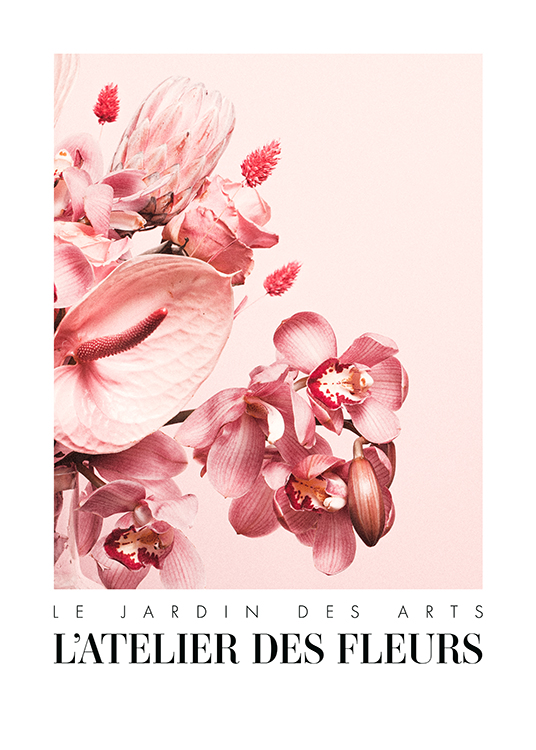 – Photographie d’un bouquet de fleurs en rose sur un fond rose, avec du texte en dessous