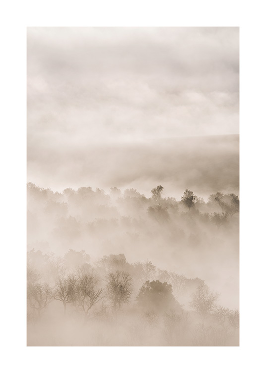 – Photographie d’un paysage brumeux avec des arbres aux couleurs beiges