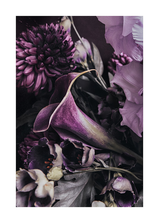 – Photographie romantique de fleurs de couleur lilas
