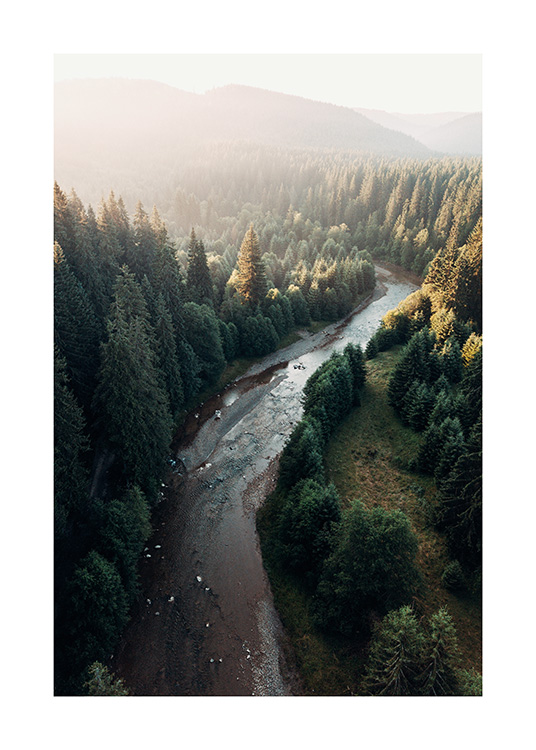 – Magnifique photographie d'une rivière dans la forêt vue du ciel. Vous pouvez observer les derniers rayons du soleil en haut de l'affiche
