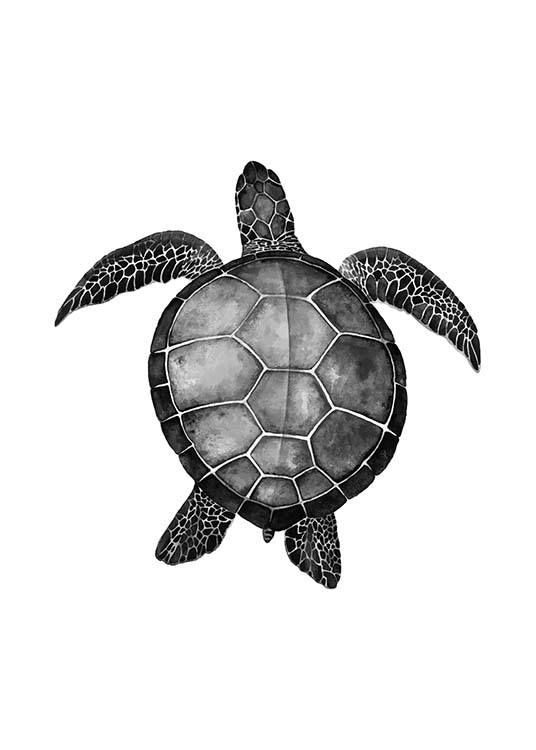 Turtle Affiche / Noir et blanc chez Desenio AB (2271)