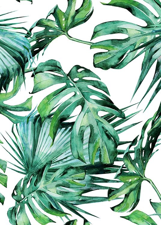  – Poster d'art simple avec toutes sortes de feuilles des tropiques sur un fond blanc 