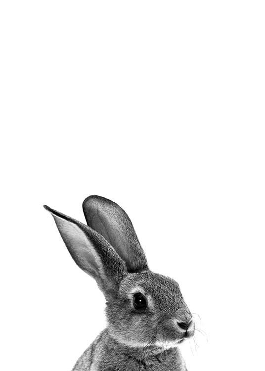  – Affiche d'un portrait en noir et blanc d'un lapin gris sur un fond blanc