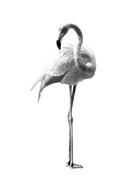 Flamingo Black And White Affiche Flamant Noir Et Blanc Desenio F