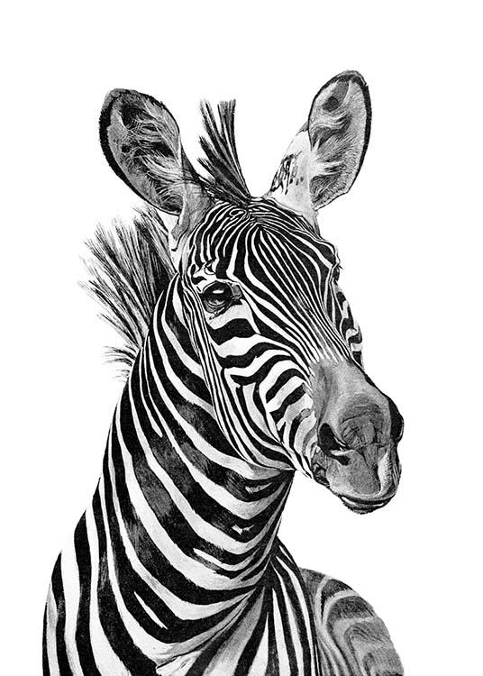  – Affiche animalière avec un zèbre élégant en noir et blanc sur fond blanc