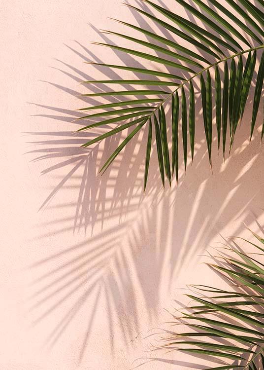 – Poster de plante moderne avec des feuilles de palmier dont l'ombre arrive sur le mur extérieur rose d'une maison
