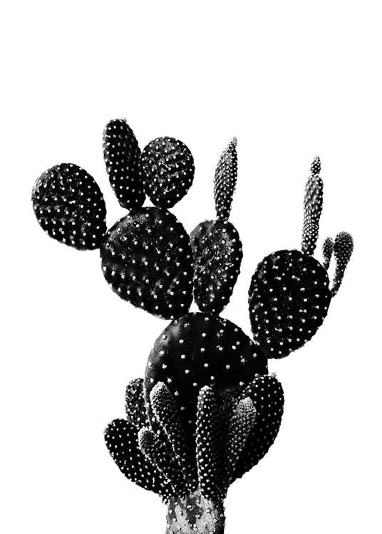 Black Cactus One Affiche / Noir et blanc chez Desenio AB (2429)