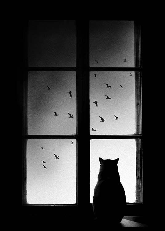 Cat In Window Affiche / Noir et blanc chez Desenio AB (2675)