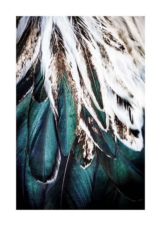Green Feathers Affiche / Photographie chez Desenio AB (2732)